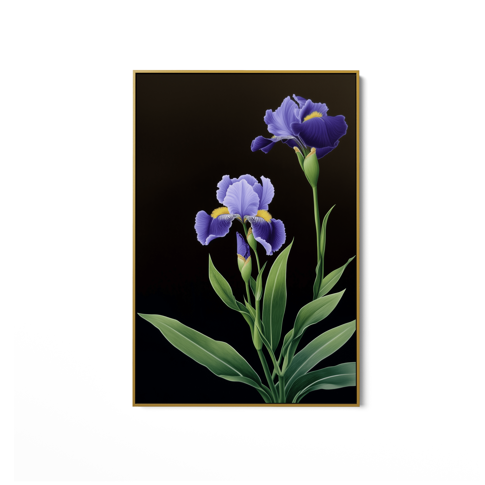 Nirelle UA - 899 - Unique Aesthetics