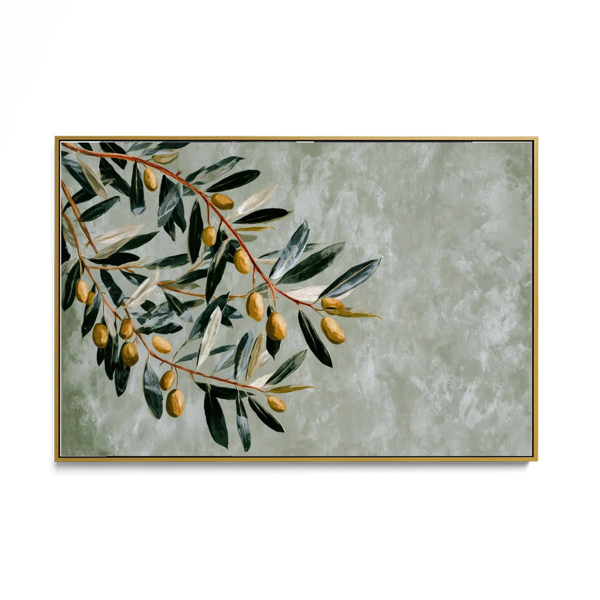 Olive Branch #UA-H-2480