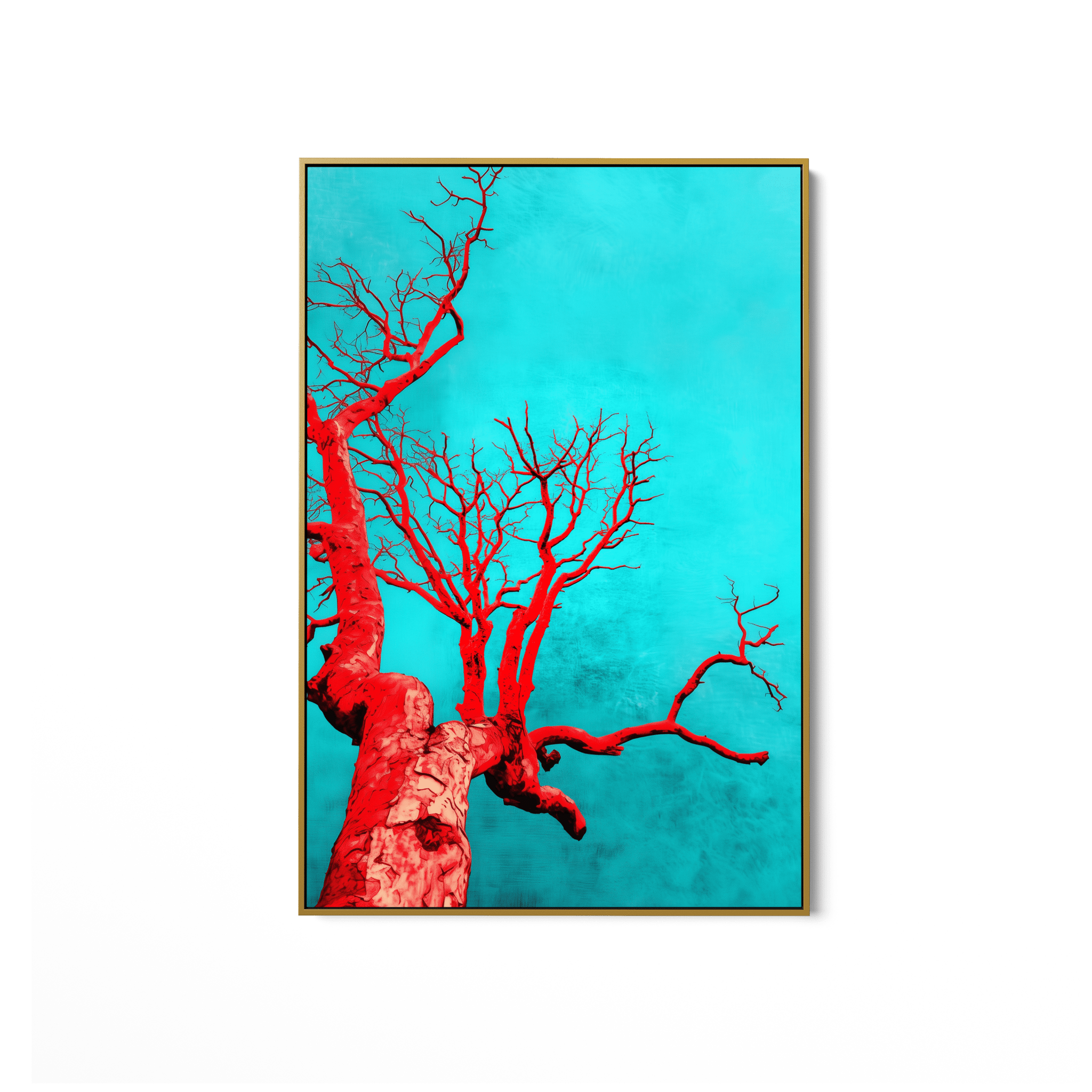 Vividus UA - 668 - Unique Aesthetics